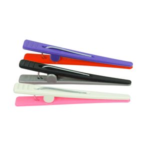 Clips Plásticos Santa Clara Para Cabelo Com 12un
