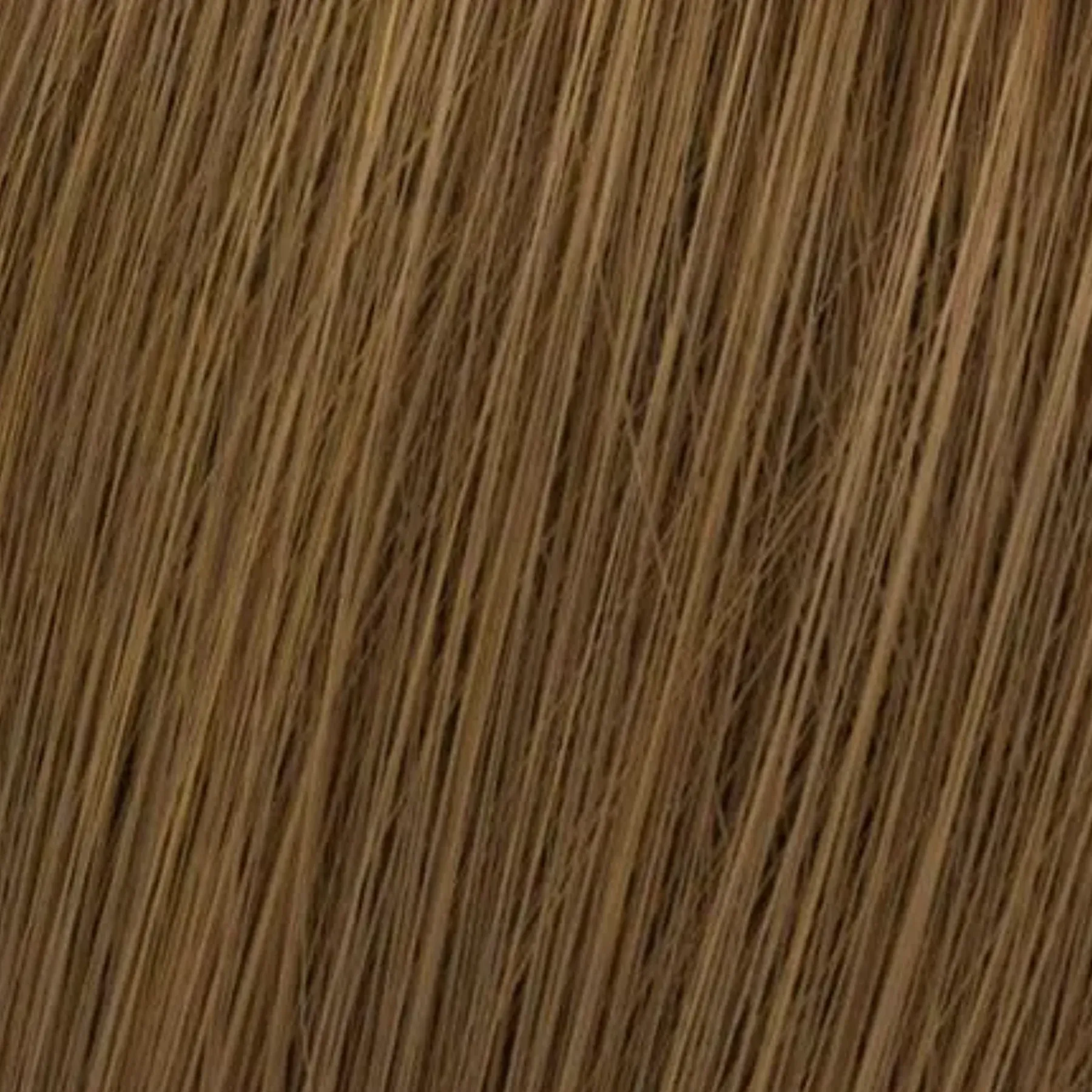 KOLESTON-RICH-7.3