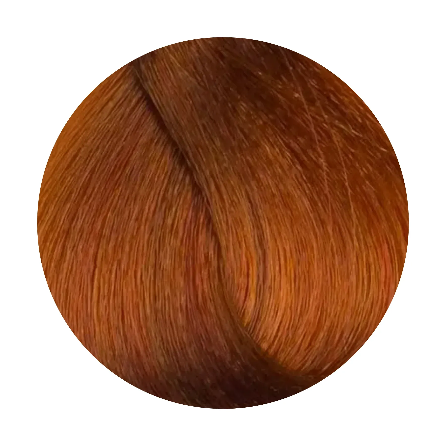 BIO-8.4-V