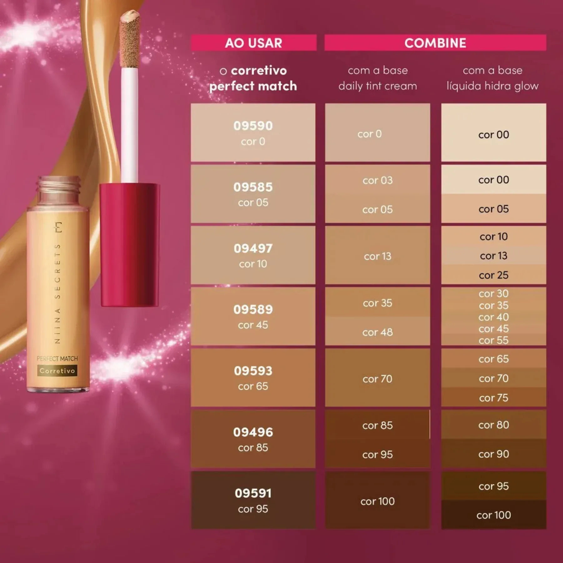 CORRETIVO-NIINA-GERAL