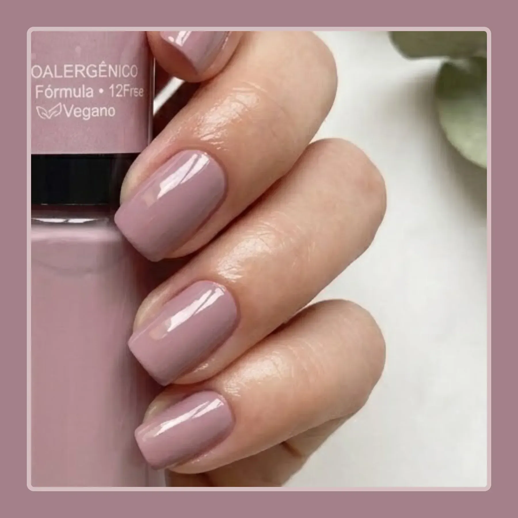ROSA-VINTAGE--3-