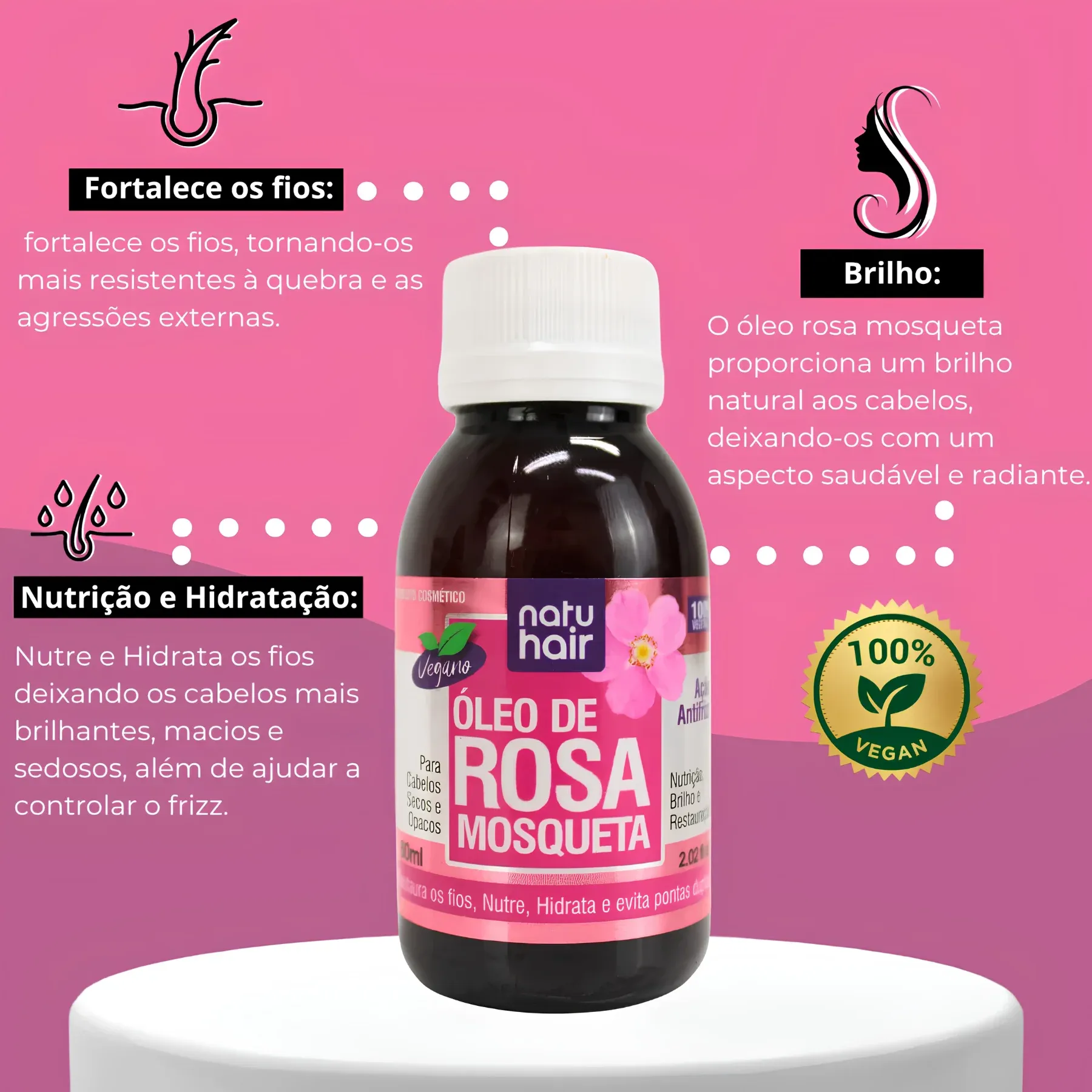 ROSA--2---1-