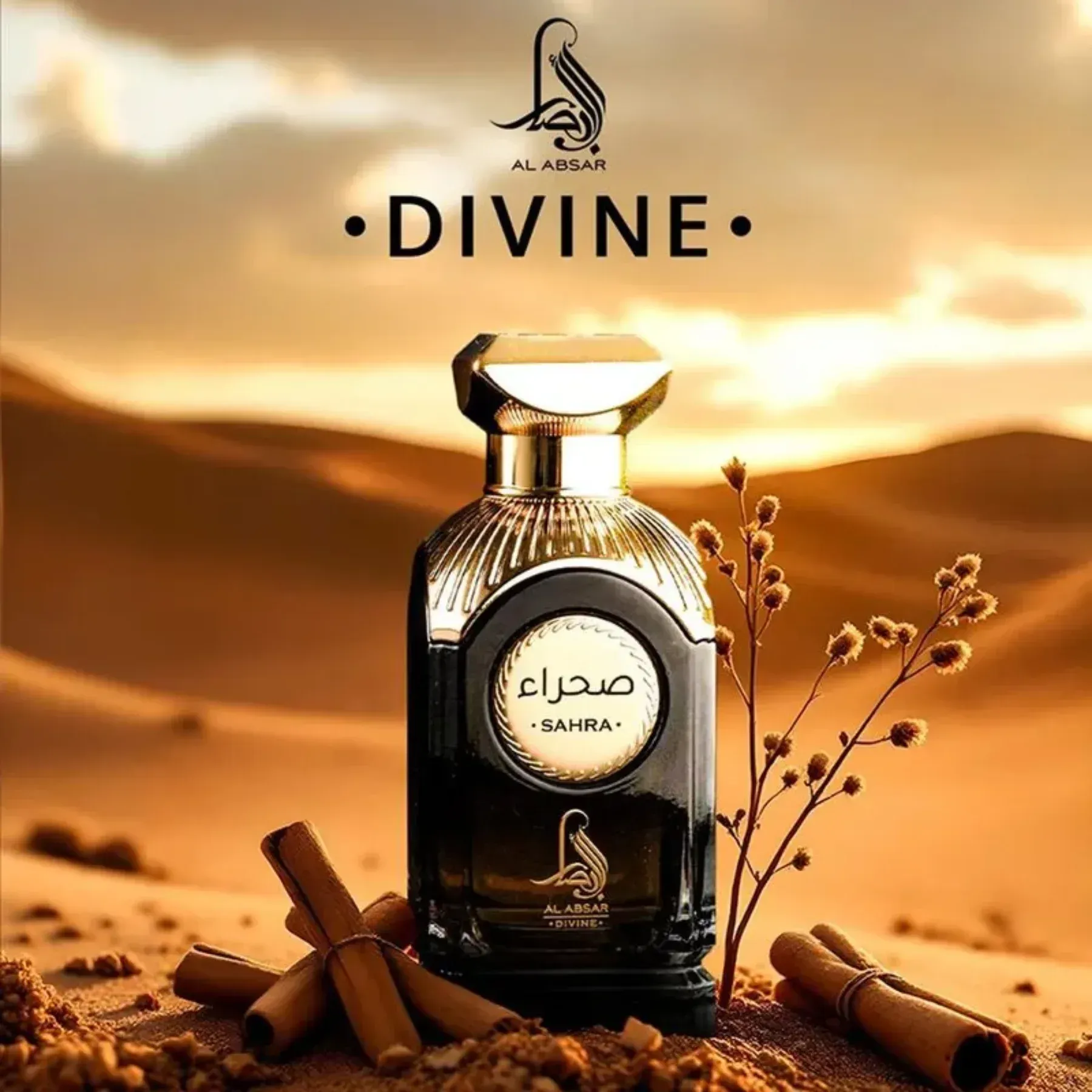 SAHRA--3-